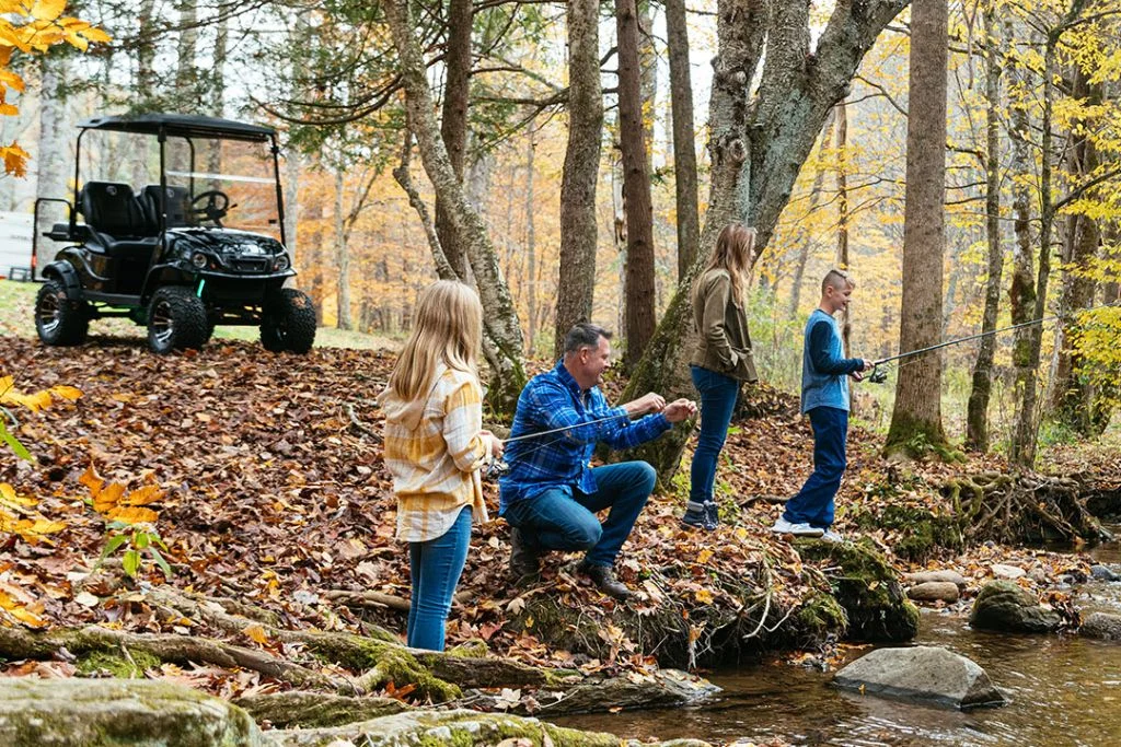 How Many Batteries Are Used in Electric Golf Carts?