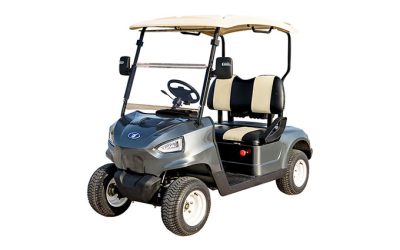 2 Seater Golf Buggy