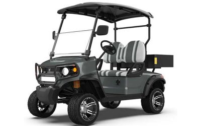 2 Seater Electric Utility Golf Cargo